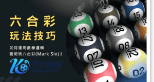 ued体育网页版彩票六合彩玩法 - 投注技巧